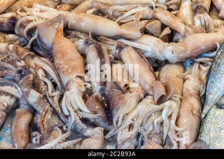 Calmars à la vente à un marché à Palerme, Sicile Banque D'Images