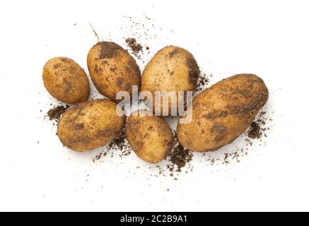 Pommes de terre bio frais isolé sur fond blanc. Haut de la vue, télévision lay Banque D'Images