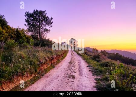 Sentier de randonnée tranquille le long de la chaîne de montagnes Serra do Louro, parc naturel d'Arrabida. Palmela, Portugal Banque D'Images