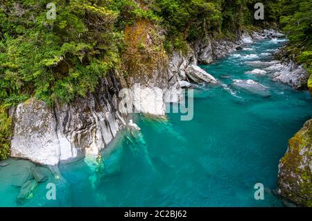 L'eau bleue des Blue pools du col Haast, en Nouvelle-Zélande. Banque D'Images