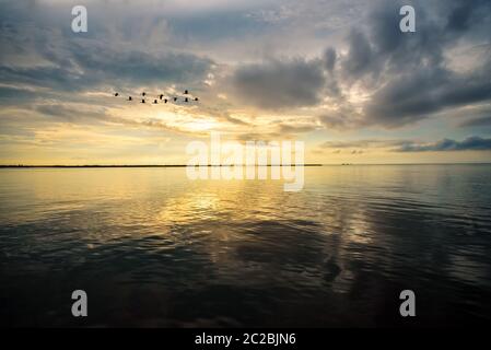 Oiseaux volant au lever du soleil au-dessus du lac Songkhla, Thaïlande Banque D'Images