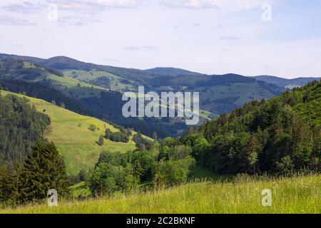 Paysage de montagnes d'été, vue sur les montagnes de la Forêt Noire et la vallée. Collines, champs, prairies et forêt au printemps. Panorama Schwarzwald, roulant Banque D'Images