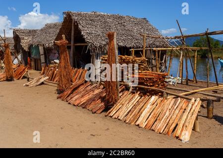 Le séchage du bois au soleil en face d'une traditionnelle maison de Madagascar, Maroantsetra, Madagascar Banque D'Images