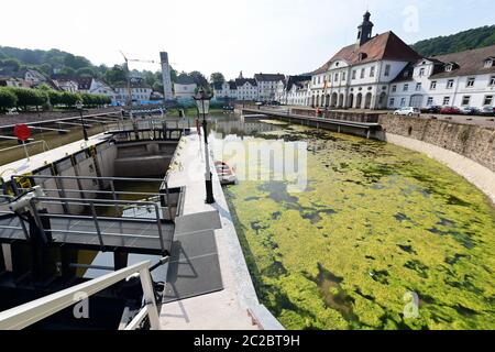Bad Karlshafen, Allemagne. 17 juin 2020. Un tapis d'algues flotte dans un coin du bassin du port de Bad Karlshafen, à droite de l'hôtel de ville. Avec une campagne de plantation dans l'entrée vide du Diemel au bassin, la ville de North Hessian veut maîtriser le problème des algues de son nouveau port. Credit: Uwe Zucchi/dpa/Alay Live News Banque D'Images