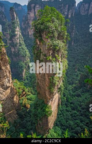 Pilier ciel Alléluia dans la montagne Tianzi mountain range, Avatar montagnes nature park, Zhangjiajie, Chine Banque D'Images