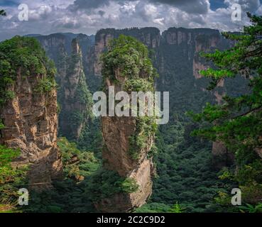 Pilier ciel Alléluia dans la montagne Tianzi mountain range, Avatar montagnes nature park, Zhangjiajie, Chine Banque D'Images