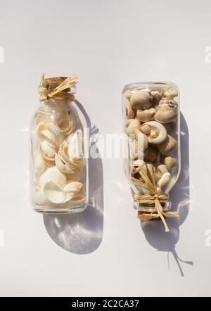 Deux bouteilles en verre remplies de coquillages sur fond blanc Banque D'Images