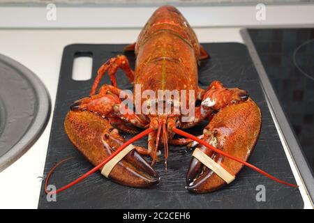 Grande Planche à découper le homard cuit à Banque D'Images