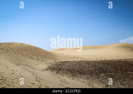 région désertique avec dunes sous ciel bleu Banque D'Images