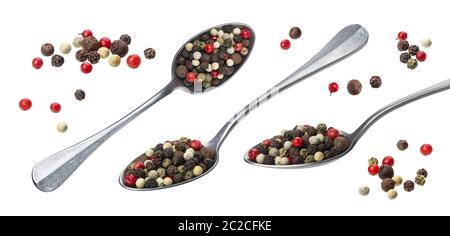 Mélanger le poivre. Poivre différentes dans spoon isolé sur fond blanc Banque D'Images