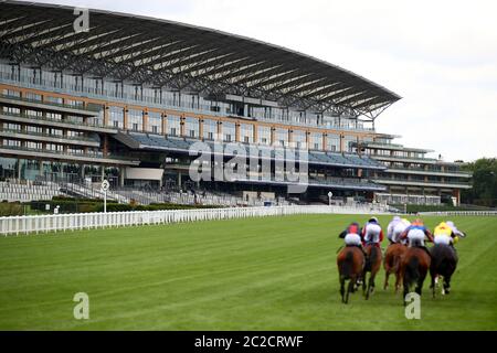 Une vue générale tandis que les coureurs et les cavaliers se transforment en maison tout droit pendant les piquets de Hampton court pendant le deuxième jour de Royal Ascot à l'hippodrome d'Ascot. Banque D'Images