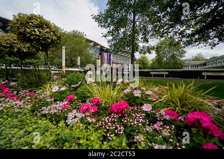 Vue générale de la pré parade qui sonne le deuxième jour de Royal Ascot à l'hippodrome d'Ascot. Banque D'Images