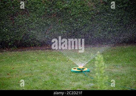 un arroseur de pelouse arrosant un pré avec de fines gouttelettes en été Banque D'Images