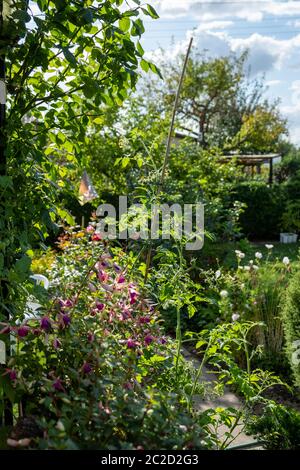 Un Beau Jardin Avec Des Géraniums, Des Roses, Des Haies Et Une