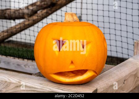 Citrouille de Halloween Jack o' lanterne Banque D'Images