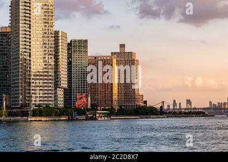 New York / USA - 27 juil 2018 : Long Island City vue depuis Roosevelt Island Banque D'Images