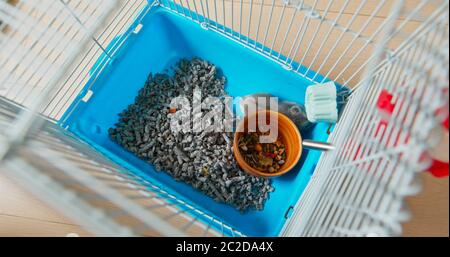 Vue de dessus du hamster à l'intérieur de la cage Banque D'Images