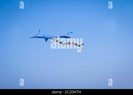 cerf-volant bleu dans le ciel au bord de la mer baltique Banque D'Images