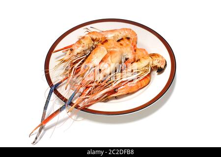 Bougé crevettes grillées sur une plaque isolée sur fond blanc. Banque D'Images