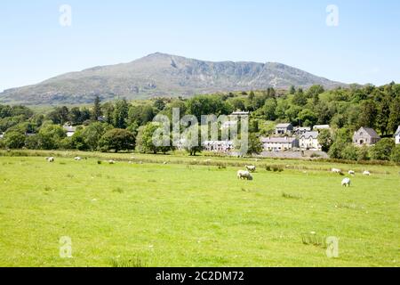 Moel Siabod au-dessus de l'Afon Lledr près du village de Dolwyddelan dans la vallée de Lledr entre Blaenau Ffestinog et Betws-y-Coed Snowdonia Nord du pays de Galles Banque D'Images