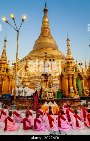 Un groupe de Thilashin (novice Nuns) priant à la Pagode Shwedagon, Yangon, Myanmar. Banque D'Images