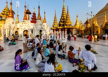Le peuple bouddhiste priant à la Pagode Shwedagon, Yangon, Myanmar. Banque D'Images