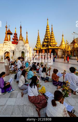 Le peuple bouddhiste priant à la Pagode Shwedagon, Yangon, Myanmar. Banque D'Images