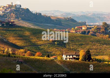 Vue sur vignes automnales sur l'hils des Langhe en soirée dans le Piémont, au nord de l'Italie. Banque D'Images