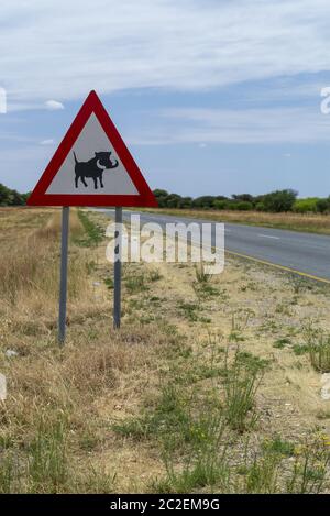 Panneau de signalisation avec avertissement contre les warthogs, Namibie Banque D'Images