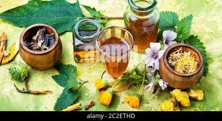 Flacons de teinture et herbes sains.assortiment de plantes médicinales naturelles Banque D'Images
