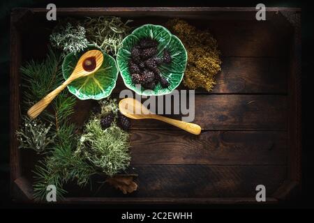 Huile de cèdre et cônes de pin sur fond de bois sombre et grind Banque D'Images