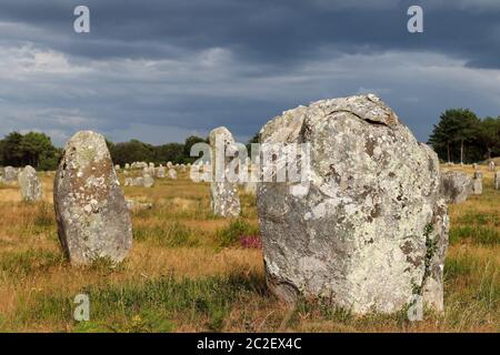 Alignements du Menec - rangées de Menhirs - pierres debout à la lumière du coucher du soleil - le plus grand site mégalithique du monde, Carnac, Bretagne, France Banque D'Images