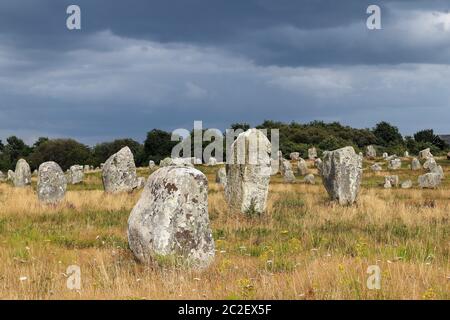 Alignements du Menec - Rangées de Menhirs - menhirs - le plus grand site mégalithique du monde, Carnac, Bretagne, France Banque D'Images