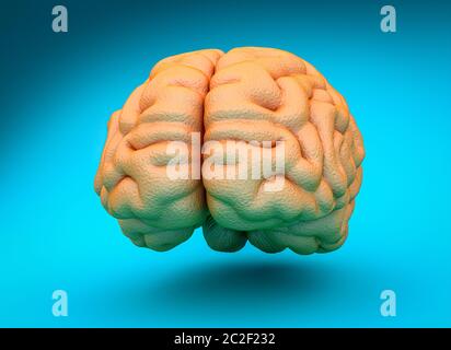 rendu 3d d'un cerveau humain. concept d'intelligence, de créativité et de sagesse. Banque D'Images