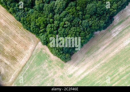 Formes géométriques et lignes formées par une prise aérienne d'un bois et de champs Banque D'Images