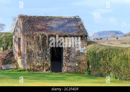 Petit vieux bâtiment en pierre avec tuiles de toit en ardoise et partiellement couvert d'une plante d'escalade Banque D'Images