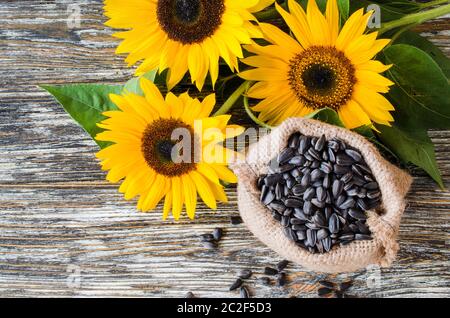 Les graines de tournesol en sac de toile sur une table en bois contre l'arrière-plan et le jaune tournesol. Poêlée de grains de tournesol dans des emballages écologiques. Banque D'Images