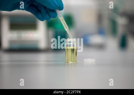 Chimiste dans un laboratoire scientifique utilisant une pipette pour analyser le cannabis. Légalisation du pétrole du CBD Banque D'Images