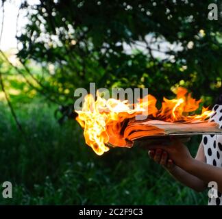 Livre brûlant dans les mains. Livres en feu dans la forêt. La jeune fille est titulaire d'un livre brûlant dans ses mains. Une jeune femme dans une forêt brûle un livre. Banque D'Images