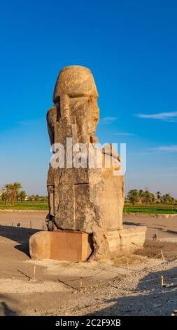 Les Colossi de Memnon, deux statues massives de pierre du Pharaon Amenhotep III, qui a régné en Égypte pendant la dynastie XVIII Banque D'Images