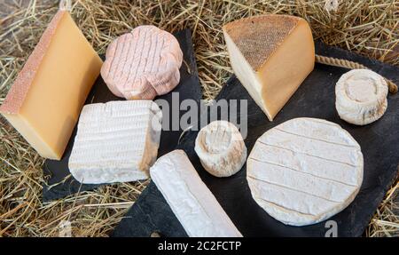 Délicieux différents fromages français sur la paille Banque D'Images
