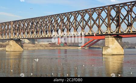 En acier ancien pont ferroviaire sur la rivière Sava à Belgrade Banque D'Images