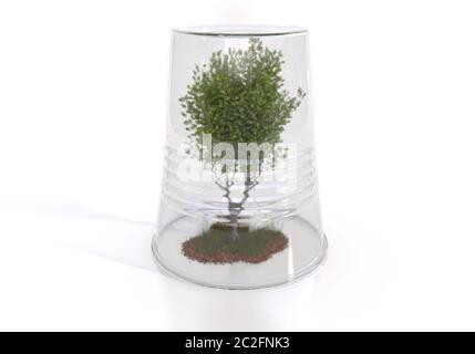 Un arbre pousse à l'intérieur d'une tasse en plastique jetable. Pollution environnementale par les déchets toxiques. Illustration créative conceptuelle avec espace de copie. Rendu 3D Banque D'Images