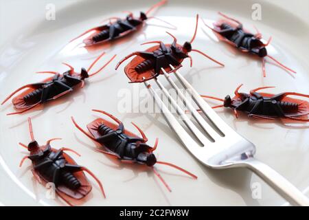 Insectes sur une assiette.insectes comme nourriture ou les insectes comestibles sont des espèces d'insectes utilisées pour la consommation humaine soit entière ou comme ingrédient dans les aliments transformés pro Banque D'Images