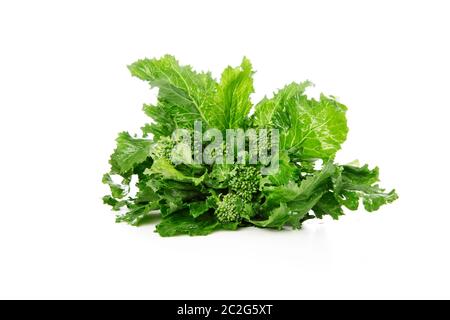 Fresh broccoli Rabe isolé sur fond blanc Banque D'Images