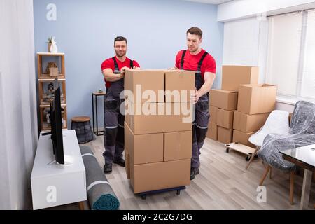 Déménageurs professionnels souriant en uniforme avec pile de boîtes de carton dans la salle de séjour Banque D'Images