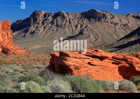 Beehives, Valley of Fire State Park, Overton, Nevada, États-Unis Banque D'Images