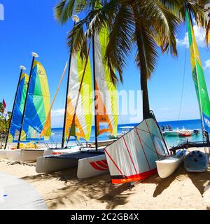 Rangée de Hobie Cat aux couleurs vives, assise sur le sable d'Antigua avec la goutte arrière de la mer et des palmiers, vous n'avez qu'à attendre Banque D'Images