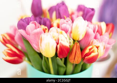 Fleurs Floristics bouquet de tulipes colorées. Gros plan. Banque D'Images