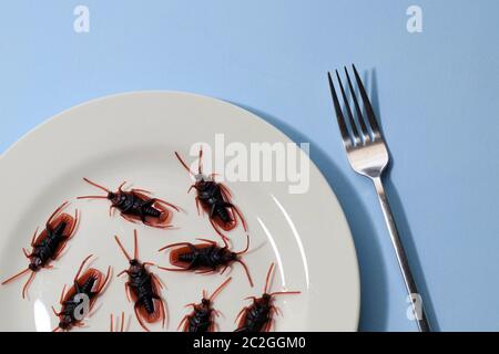 Insectes sur une assiette.insectes comme nourriture ou les insectes comestibles sont des espèces d'insectes utilisées pour la consommation humaine soit entière ou comme ingrédient dans les aliments transformés pro Banque D'Images